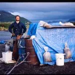 Dia, Übertragung, Scans, Muster